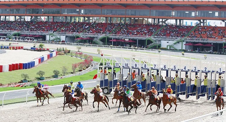 Tìm Hiểu Cá Cược Đua Ngựa Alo88 Chi Tiết Cách Chơi Và Kinh Nghiệm Thắng Lớn