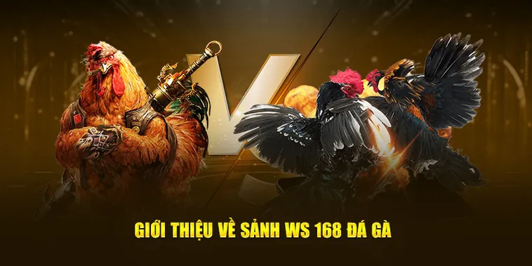 Cách chơi Đá Gà WS168 tại Alo88 chi tiết và hiệu quả nhất