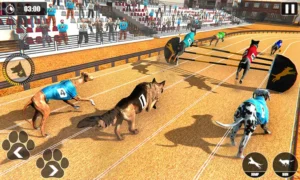 Hướng Dẫn Cách Chơi Game Nhanh Đua Chó Siêu Đỉnh Tại Alo88